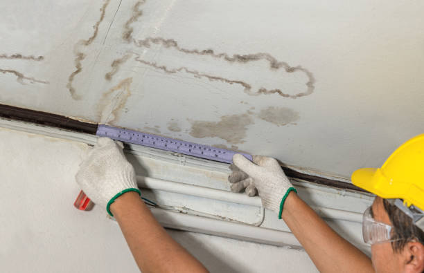 Reliable Mold Remediation contractor in Strong, ME by Water Damage Irwin